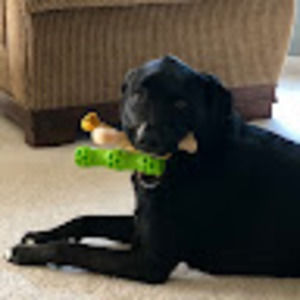 Meet your Posher, Lucy